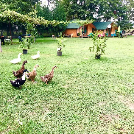 Osso Garden Bungalow *