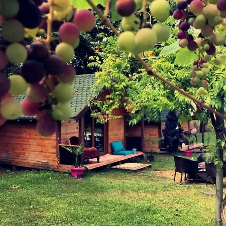 Osso Garden Bungalow *