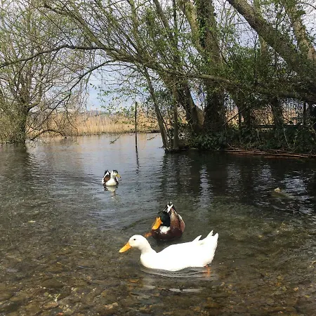 ベッド・アンド・ブレックファスト Osso Garden Bungalow