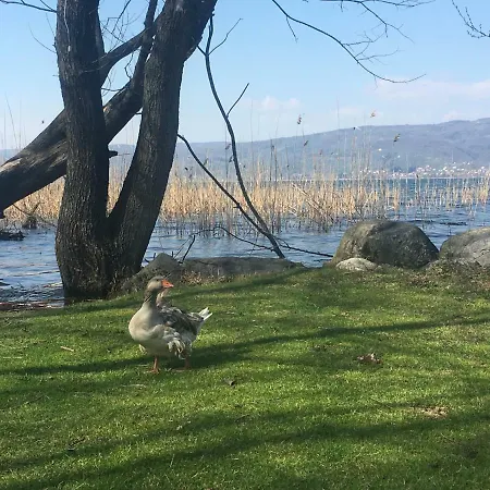 Osso Garden Bungalow * サパンジャ